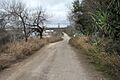 SALINENO, Tx -01 (16638557696)