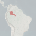 Saguinus inustus MDD Range