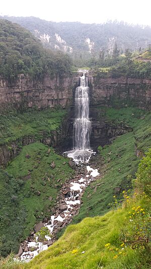 Salto de Tequendama 1.jpeg