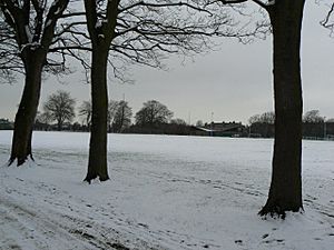 Saughton Public Park - geograph.org.uk - 1157992