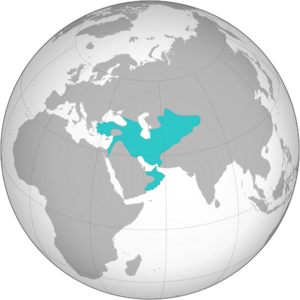 Seljuk Empire (greatest extent)