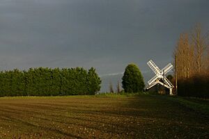 Shade Mill, Soham