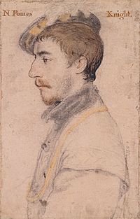 Sir Nicholas Poyntz, by Hans Holbein the Younger