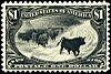 Stamp US 1898 1dollar Trans-Miss.jpg