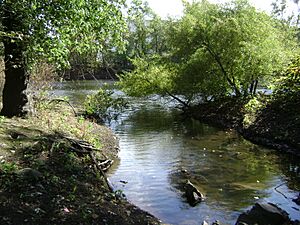 Stevenson Brook mouth