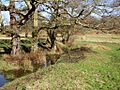 Sudbrook - Richmond Park