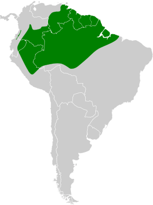 Tachyphonus surinamus map.svg