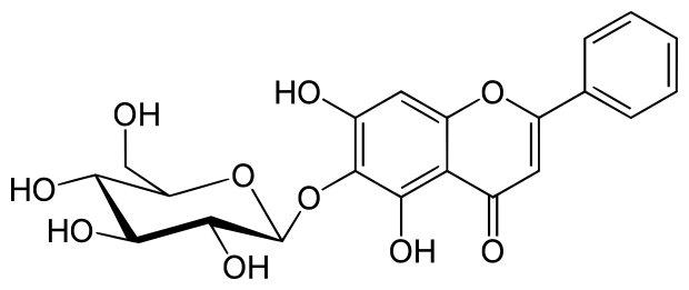 Tetuin