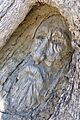 The Face Tree