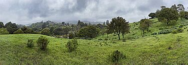 The Veench Vista - Marin County