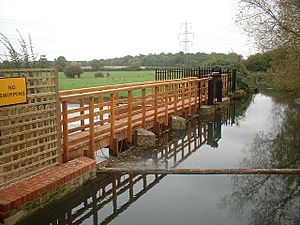 The weir and sluice - geograph.org.uk - 321069