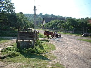 Transsylvania countryside