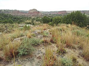 Tule Canyon