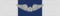 Vietnam Air Gallantry Cross Silver Wing ribbon.svg