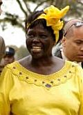 Wangari Maathai portrait by Martin Rowe