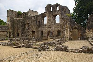 Wolvesey Castle, Winchester 2014 23