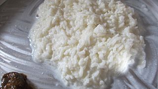 Yogurt and Rice aka Curd Rice