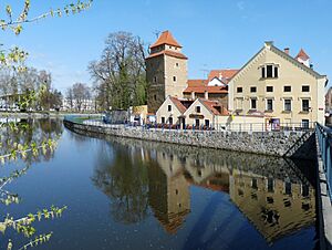 České Budějovice, Železná panna u slepého ramena Malše