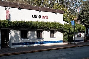 047x Luna Red (50007062572)