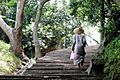 A Chinese nun climbing ascending steps on Mount Putuo Shan island