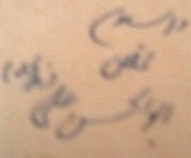 AbulHasanAliNadwi Autograph.jpg