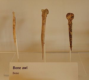 Ancestral Puebloan bone awls by RO