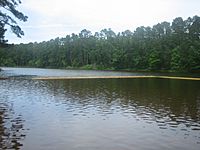 Another view of Ratcliff Lake, Ratcliff, TX IMG 0983