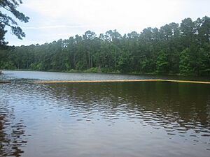 Another view of Ratcliff Lake, Ratcliff, TX IMG 0983