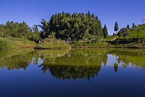 Antu Pond, Ilam reflecting the color of its sorroundings (By Saroj Pandey)