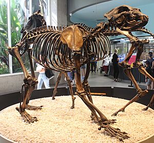 Arctodus simus Page