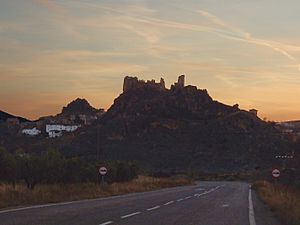 Arándiga Facts for Kids