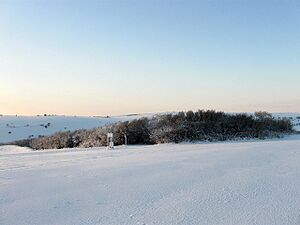 Benfield Hill - geograph.org.uk - 1656357