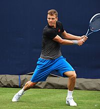 Berdych at Queens 2013