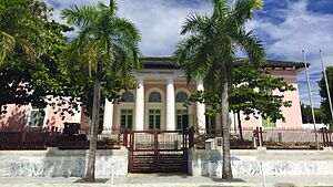 Biblioteca Carnegie, San Juan, Puerto Rico. (02)