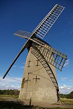 Bidston Windmill.jpg