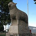 BigLamb Guyra
