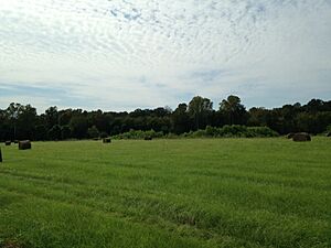 Big Black River Battlesight (3)