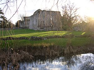 Bishop's Waltham Palace and moat.jpg
