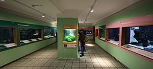 Bolton aquarium