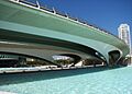 Calatrava Bridge