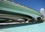 Calatrava Bridge.jpg