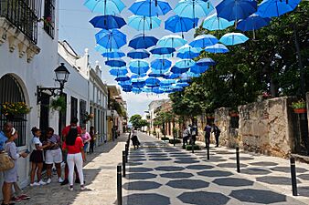 Calle Arzobispo Meriño CCSD 07 2019 CCSD 07 2019 0023