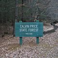 Calvin Price State Forest - Sign-square