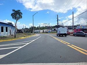 Carretera PR-8861, Toa Alta, Puerto Rico