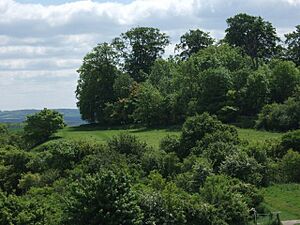 Castle Hill, from Wittenham Clumps - geograph.org.uk - 809858