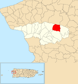 Location of Cerro Gordo within the municipality of Añasco shown in red