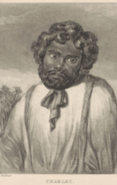 Charley Fisher, Aboriginal guide