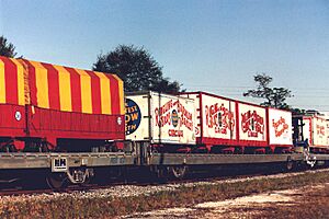 Circus train