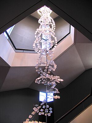 Crystal DNA