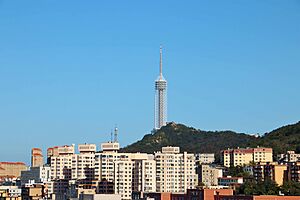 Dalian Sightseeing Tower (3)